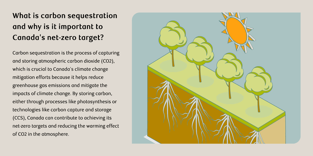 A graphic illustrating carbon sequestration in relation to Canada's net-zero target. 