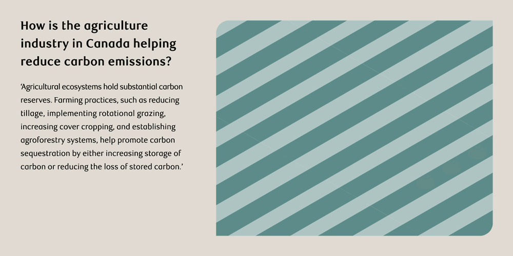 A graphic illustrating how is the agriculture industry in Canada helping reduce carbon emissions. 