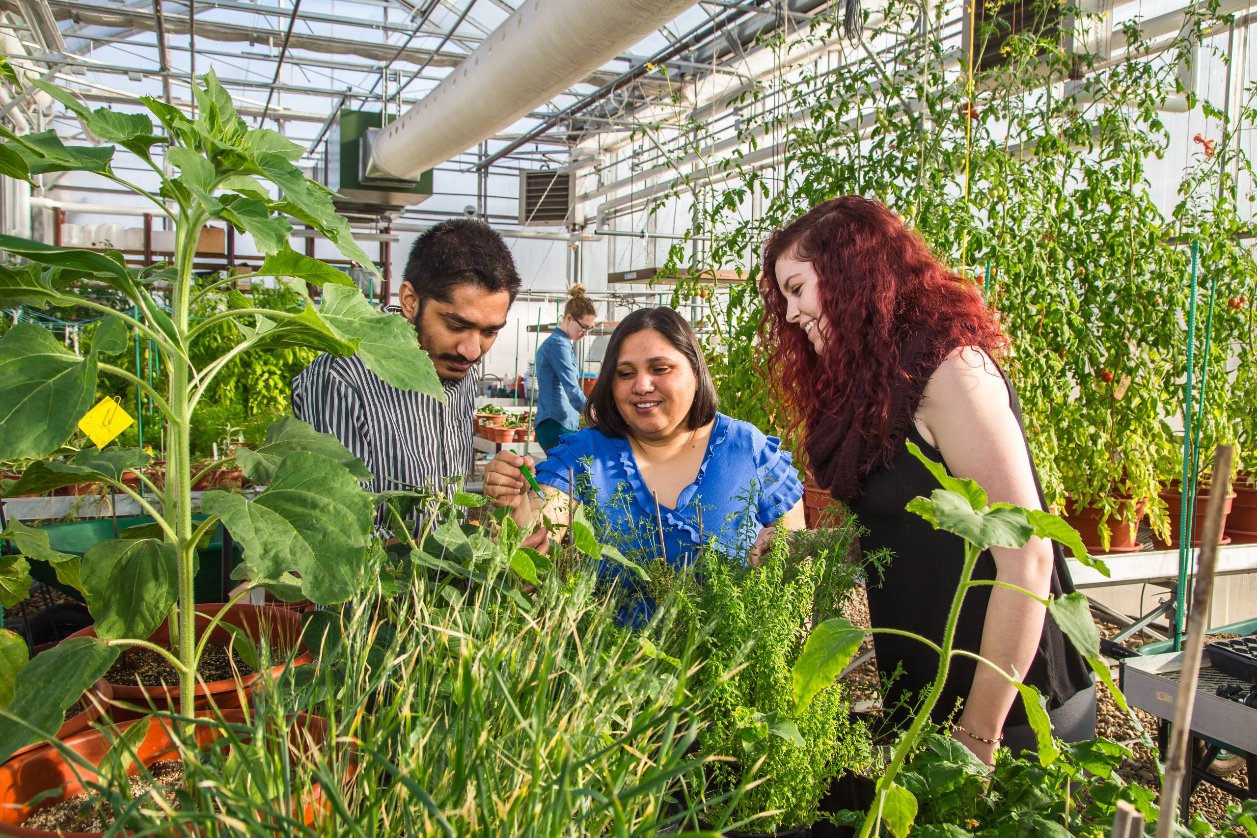 Assiniboine College students in the school’s sustainable Greenhouse prototype.