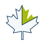 icon of a maple leaf